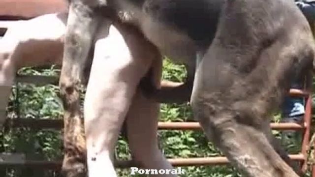 Qora Overlord bilan porno