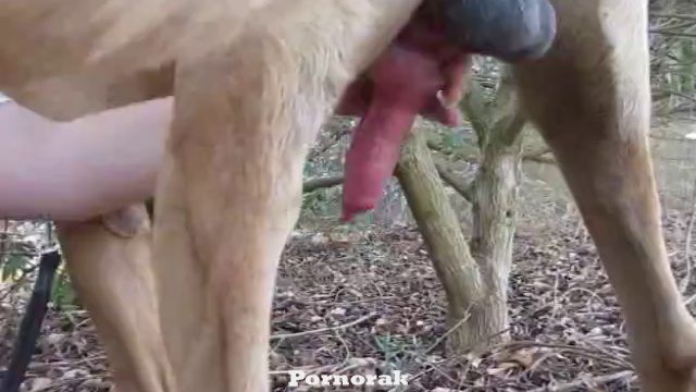 Автобуста трусисыз секс видео