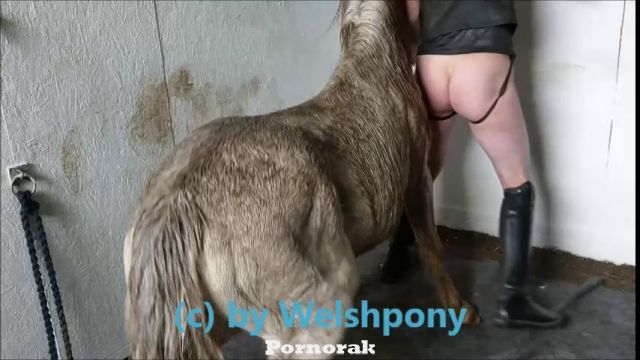 Конь пердолит мужика в анал, порно зоо видео