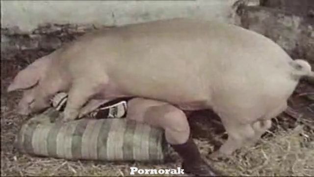 Әйелдердің сексуалды бөкселері Велосипедпен жүруден оргазм